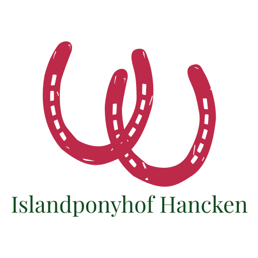 Islandponyhof Hancken